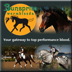 Sunsprite Warmbloods