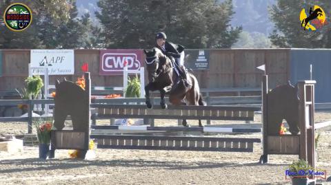 CIC1* Show Jumping Woodside October 2018