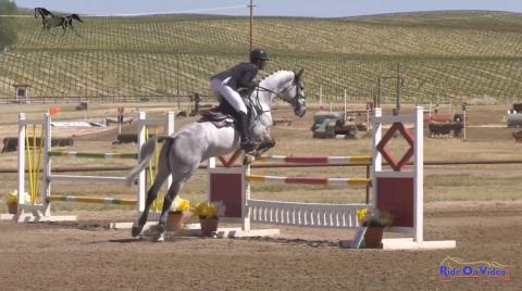 CCI3* Long Show Jumping Twin Rivers Ranch April 2019