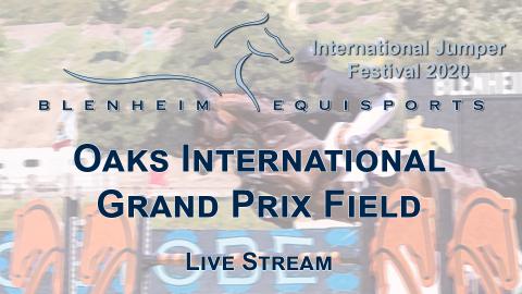 Blenheim Equisports Live Streams