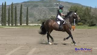 287XC Barbara Crabo on Prince Buttercup Open Beginner Novice Cross Country Galway Downs March 2023