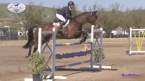 CCI4* Short Show Jumping Twin Rivers Ranch April 2019