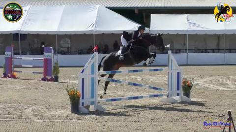 CIC2* Show Jumping Woodside October 2018