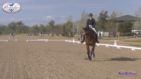 CCI4* Short Dressage Twin Rivers Ranch September 2019